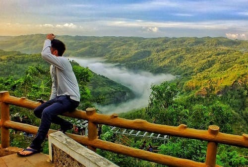 Wisata Kebun Buah Mangunan